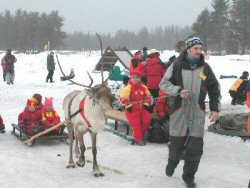Poroajelua.